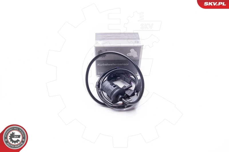 Sensor, wheel speed